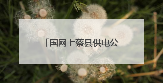 国网上蔡县供电公司：加强设备巡视 护航“三夏”生产