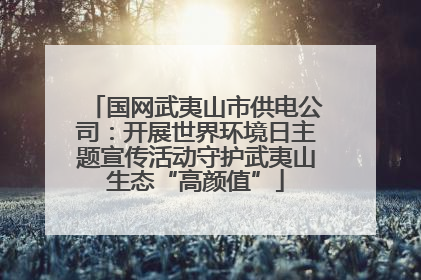 国网武夷山市供电公司：开展世界环境日主题宣传活动守护武夷山生态“高颜值”