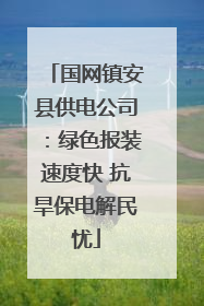 国网镇安县供电公司：绿色报装速度快 抗旱保电解民忧