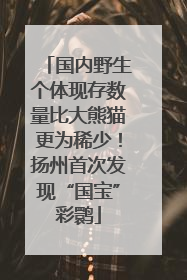 国内野生个体现存数量比大熊猫更为稀少！扬州首次发现“国宝”彩鹮