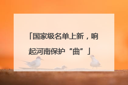 国家级名单上新，响起河南保护“曲”
