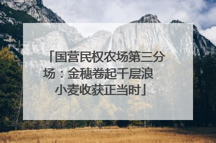 国营民权农场第三分场：金穗卷起千层浪 小麦收获正当时