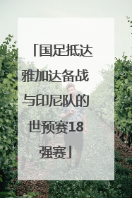 国足抵达雅加达备战与印尼队的世预赛18强赛
