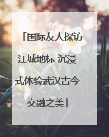 国际友人探访江城地标 沉浸式体验武汉古今交融之美