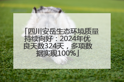 四川安岳生态环境质量持续向好：2024年优良天数324天，多项数据实现100%