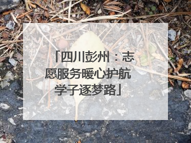 四川彭州：志愿服务暖心护航学子逐梦路