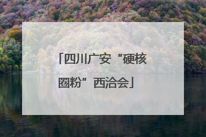 四川广安“硬核圈粉”西洽会