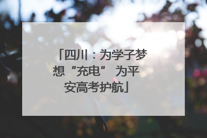 四川：为学子梦想“充电” 为平安高考护航