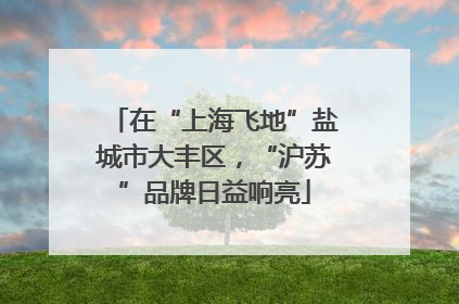 在“上海飞地”盐城市大丰区，“沪苏”品牌日益响亮