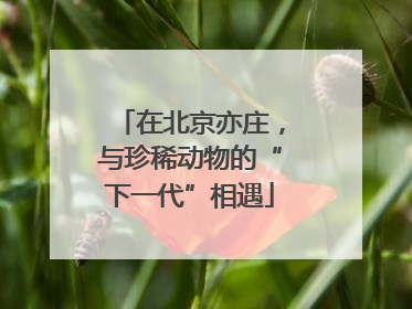 在北京亦庄，与珍稀动物的“下一代”相遇
