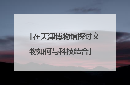 在天津博物馆探讨文物如何与科技结合