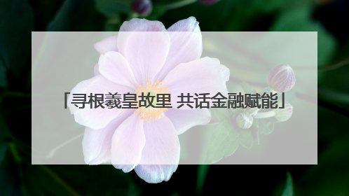 寻根羲皇故里 共话金融赋能