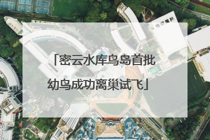 密云水库鸟岛首批幼鸟成功离巢试飞
