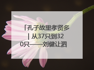 孔子故里孝贤多｜从37只到320只——刘健让泗水裘皮羊重生