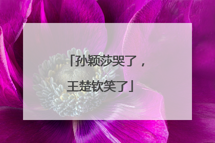 孙颖莎哭了，王楚钦笑了