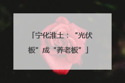 宁化淮土：“光伏板”成“养老板”
