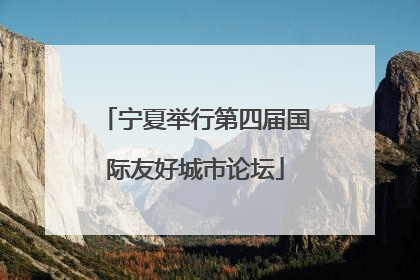 宁夏举行第四届国际友好城市论坛