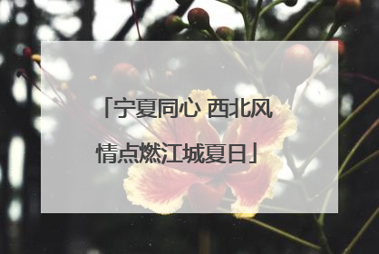 宁夏同心 西北风情点燃江城夏日