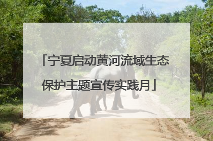 宁夏启动黄河流域生态保护主题宣传实践月