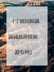 宁夏固原满满诚意迎接旅游专列