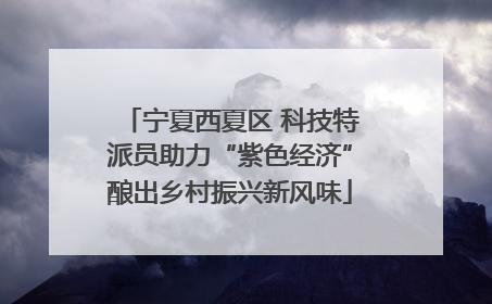 宁夏西夏区 科技特派员助力“紫色经济”酿出乡村振兴新风味