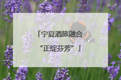 宁夏酒旅融合“正绽芬芳”