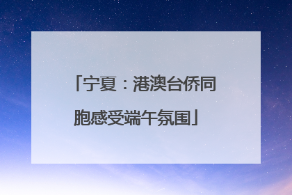 宁夏：港澳台侨同胞感受端午氛围