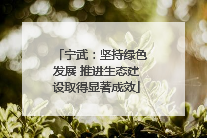 宁武：坚持绿色发展 推进生态建设取得显著成效