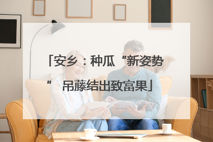安乡：种瓜“新姿势” 吊藤结出致富果