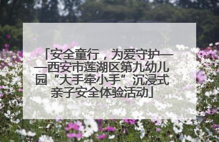安全童行，为爱守护——西安市莲湖区第九幼儿园“大手牵小手”沉浸式亲子安全体验活动