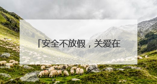 安全不放假，关爱在行动——庐江县同大镇农林小学开展暑假前安全教育大家访