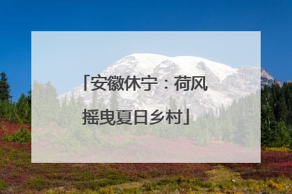 安徽休宁：荷风摇曳夏日乡村