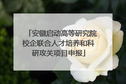 安徽启动高等研究院校企联合人才培养和科研攻关项目申报