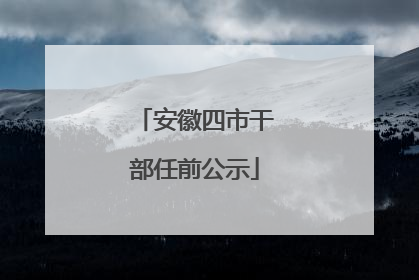 安徽四市干部任前公示