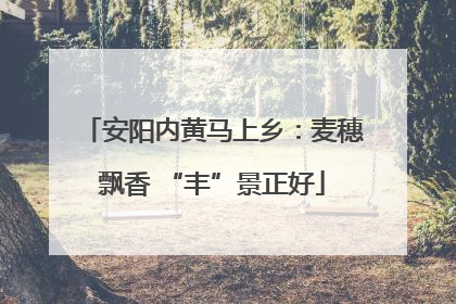 安阳内黄马上乡：麦穗飘香 “丰”景正好