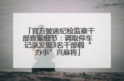 官方披露纪检监察干部查案细节：调取停车记录发现3名干部假“办事”真麻将