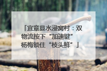 宜章县水浸窝村：双物流按下“加速键” 杨梅锁住“枝头鲜”