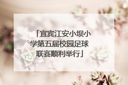宜宾江安小坝小学第五届校园足球联赛顺利举行