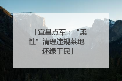 宜昌点军：“柔性”清理违规菜地 还绿于民