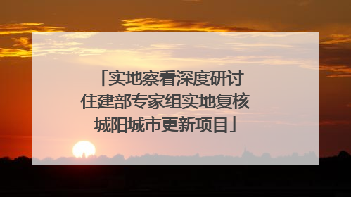 实地察看深度研讨 住建部专家组实地复核城阳城市更新项目