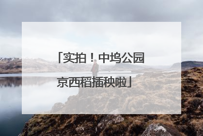 实拍！中坞公园京西稻插秧啦