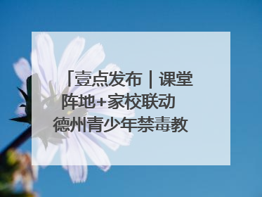 壹点发布｜课堂阵地+家校联动 德州青少年禁毒教育全覆盖