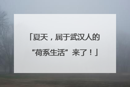 夏天，属于武汉人的“荷系生活”来了！