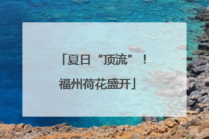 夏日“顶流”！福州荷花盛开
