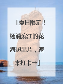 夏日限定！杨浦滨江的花海超出片，速来打卡→