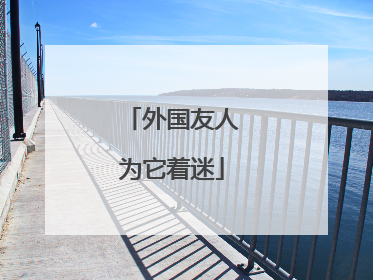 外国友人为它着迷