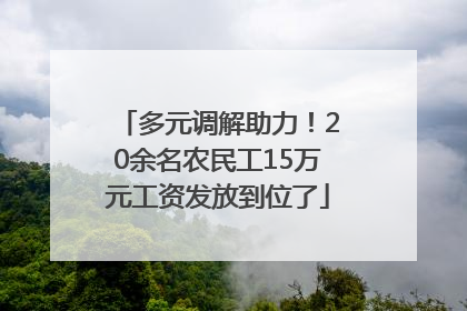 多元调解助力！20余名农民工15万元工资发放到位了