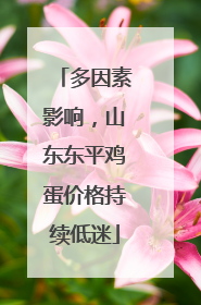 多因素影响，山东东平鸡蛋价格持续低迷