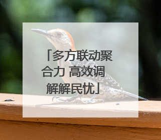 多方联动聚合力 高效调解解民忧