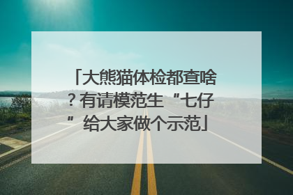 大熊猫体检都查啥？有请模范生“七仔”给大家做个示范